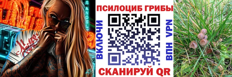 Купить закладки  Воткинск  Галлюциногенные грибы MAGIC MUSHROOMS 